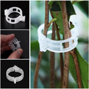 100Pcs Clip De Planta Fivela Clipes De Suporte Abraçadeiras De Plástico Suporta Ferramentas