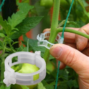 100Pcs Clip De Planta Fivela Clipes De Suporte Abraçadeiras De Plástico Suporta Ferramentas