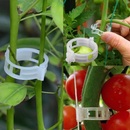 100Pcs Clip De Planta Fivela Clipes De Suporte Abraçadeiras De Plástico Suporta Ferramentas